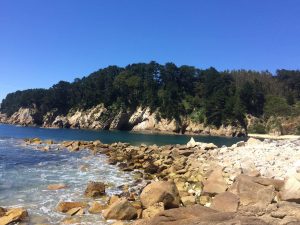 Discover the wonders of Greater Concepción