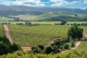 Enjoy Santiago’s mountains and the Casablanca Valley