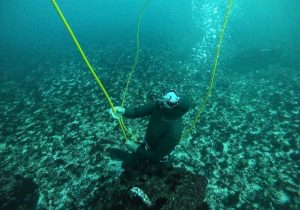 Fantastic Destinations for diving in Chile