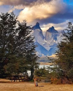 Journey across Base Torres & the wonders of the park