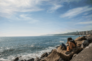 Wines, Sea, and Mountains in the Central-South of Chile
