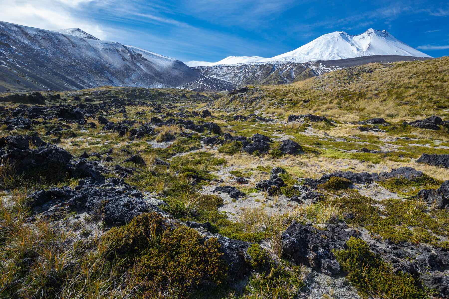 Parque Nacional Puyehue: La aventura de tu vida en un lugar mágico