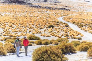 WTA 2023: Chile gewinnt als bestes Reiseziel für Abenteuer und Romantik in Südamerika