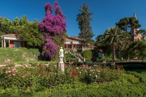 Day 1: The incredible Maipo Valley