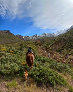 Travel to Torres del Paine & Estancia Cerro Negro