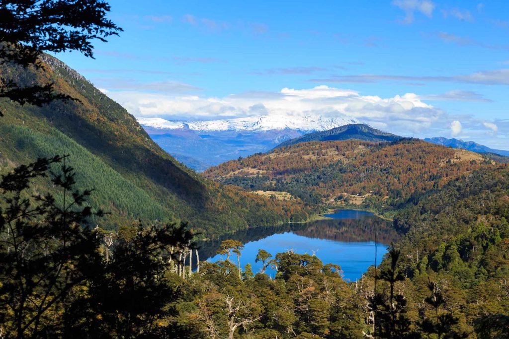 Araucanía Andina