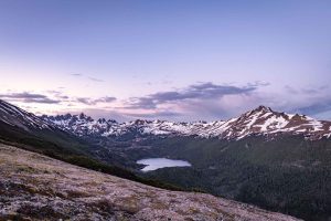 Dientes de Navarino