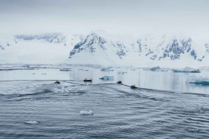 Full Day Antártica