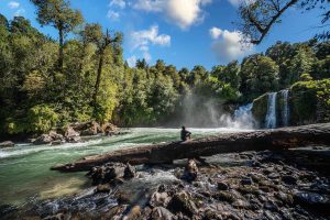 Puyehue