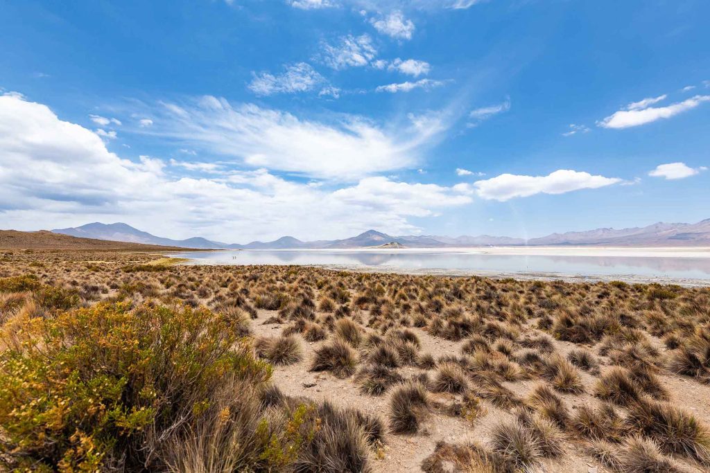 Monumento Natural Salar de Surire