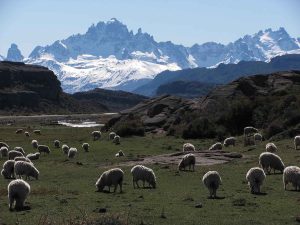 Cerro Castillo