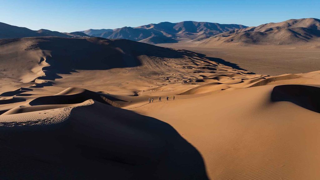Desert and Altiplano