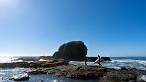 Punta de Lobos