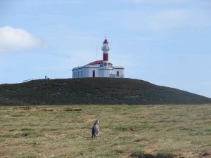 Monumento Natural Los Pingüinos