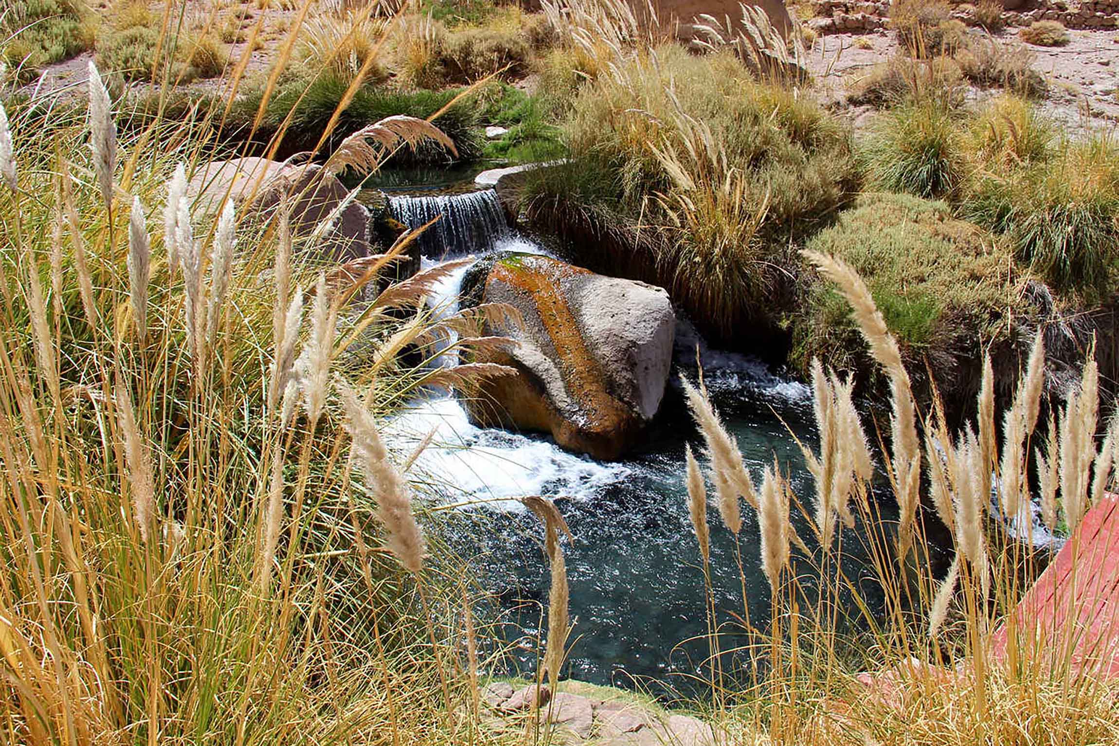 Termas de Puritama