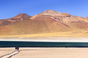 Lagunas Altiplánicas