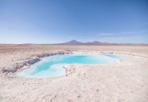 Salares de Maricunga y Pedernales