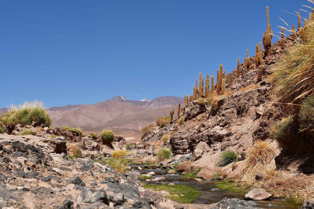 Cañón de Guatín y Valle de los Cactus