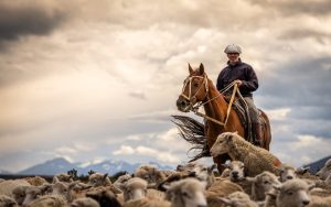 Itinerario de 2 Días: Viaje a Estancia San Luis