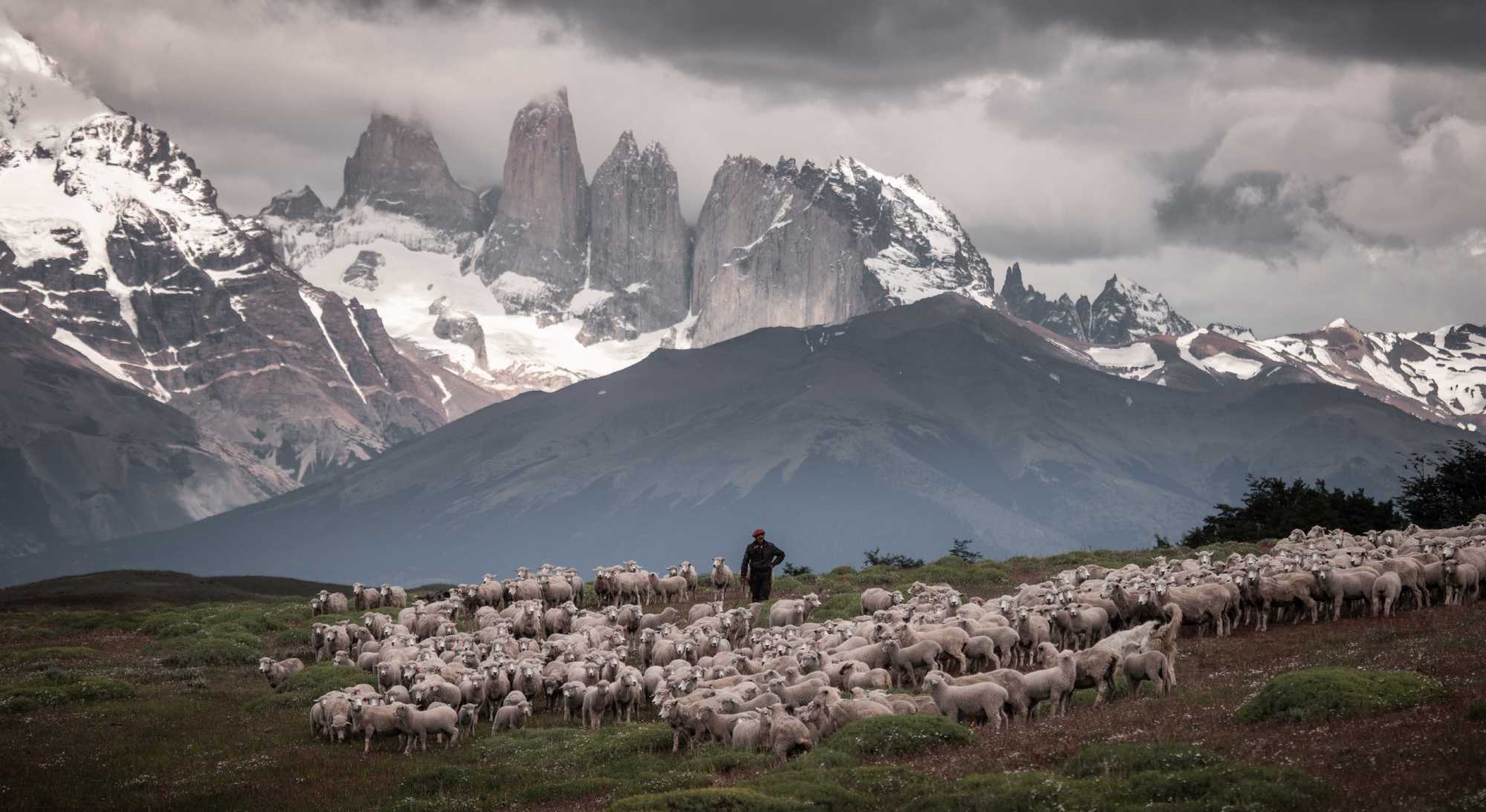 Cerro Dorotea o Cascada Río Paine