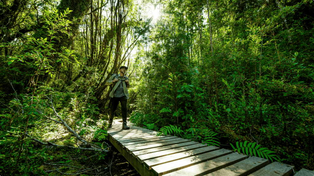 Naturaleza y ecoturismo