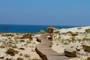 Senderos interpretativos para caminar y aprender