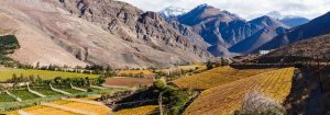 Lonely Planet Best in Travel 2019, ¡Valle de Elqui entre los mejores!