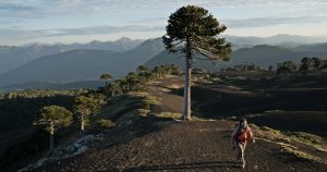 ¡Stimme für Chile bei den World Travel Awards 2025!