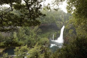 Explora los senderos mágicos de la Reserva Huilo-Huilo