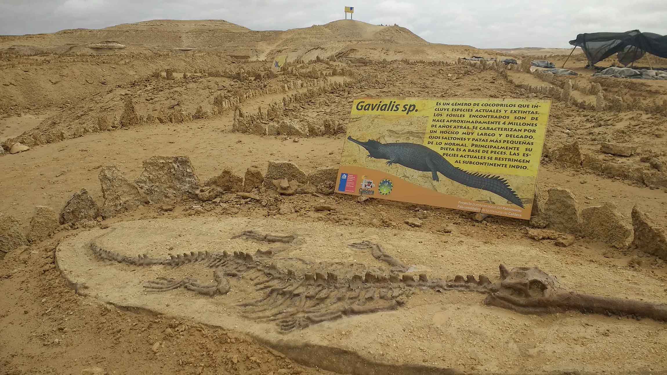 Los Dedos Paleontological Park