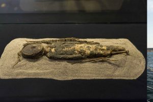 Time travel: paleontology and archeology tourism in Chile