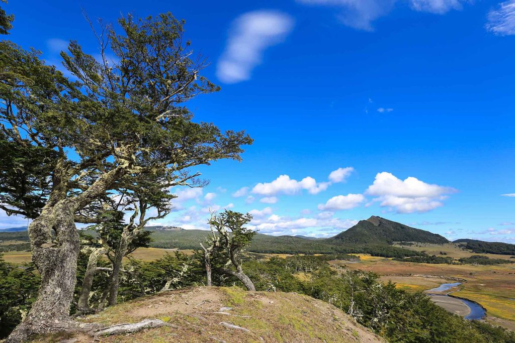 Karukinka Natural Park