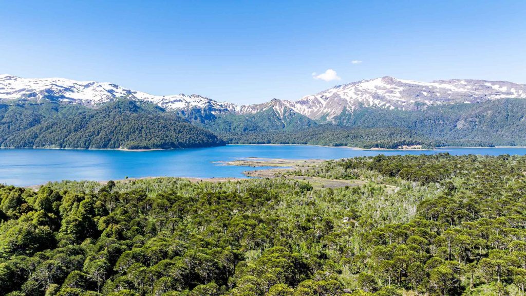 Conguillío National Park