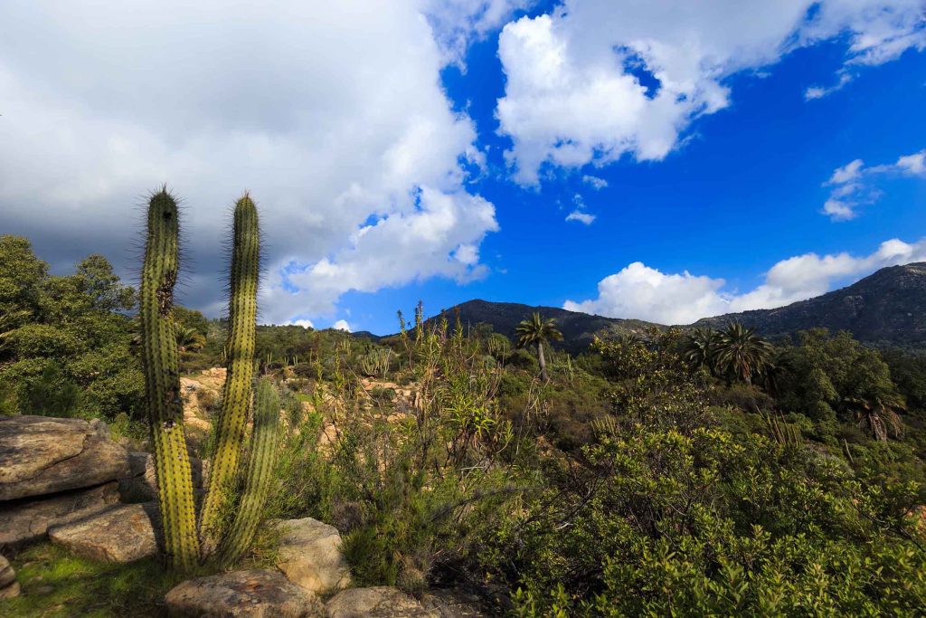 La Campana National Park
