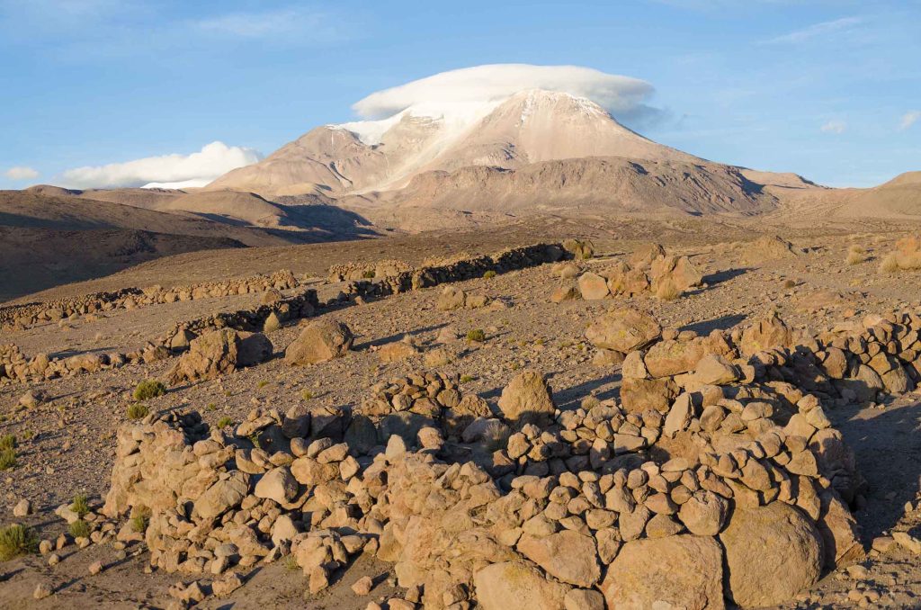 Réserve nationale Las Vicuñas