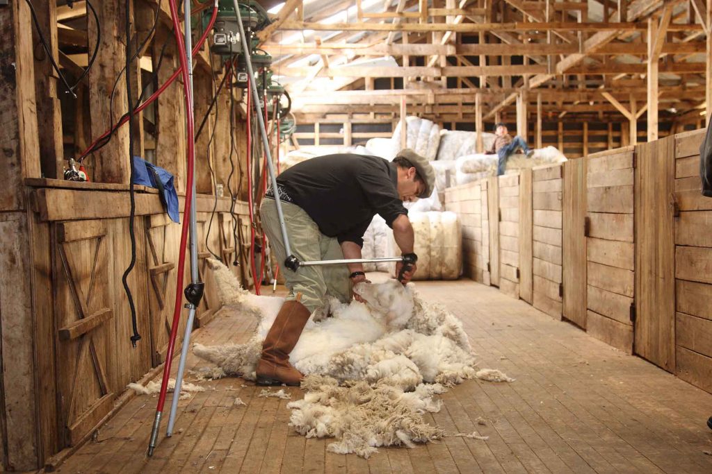 Estancia Cerro Negro