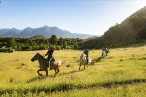 Villarrica and Pucón