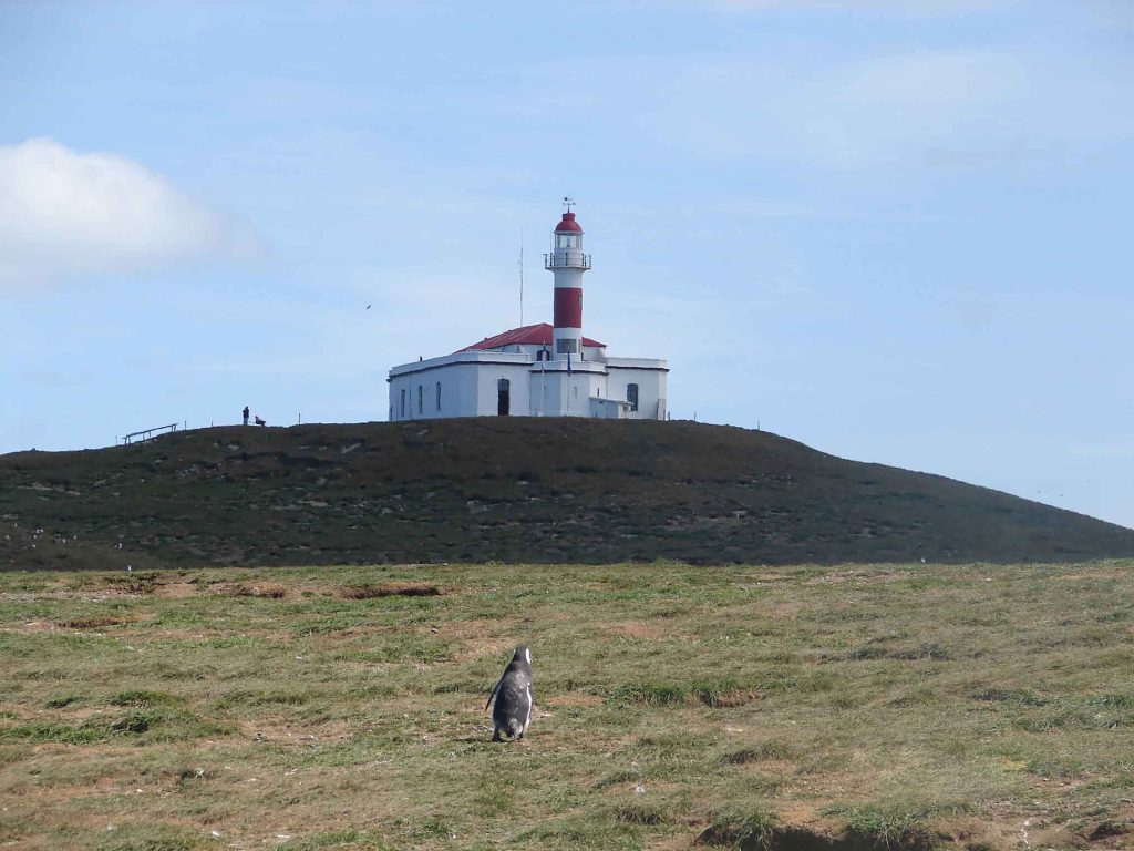 Los Pingüinos Natural Monument