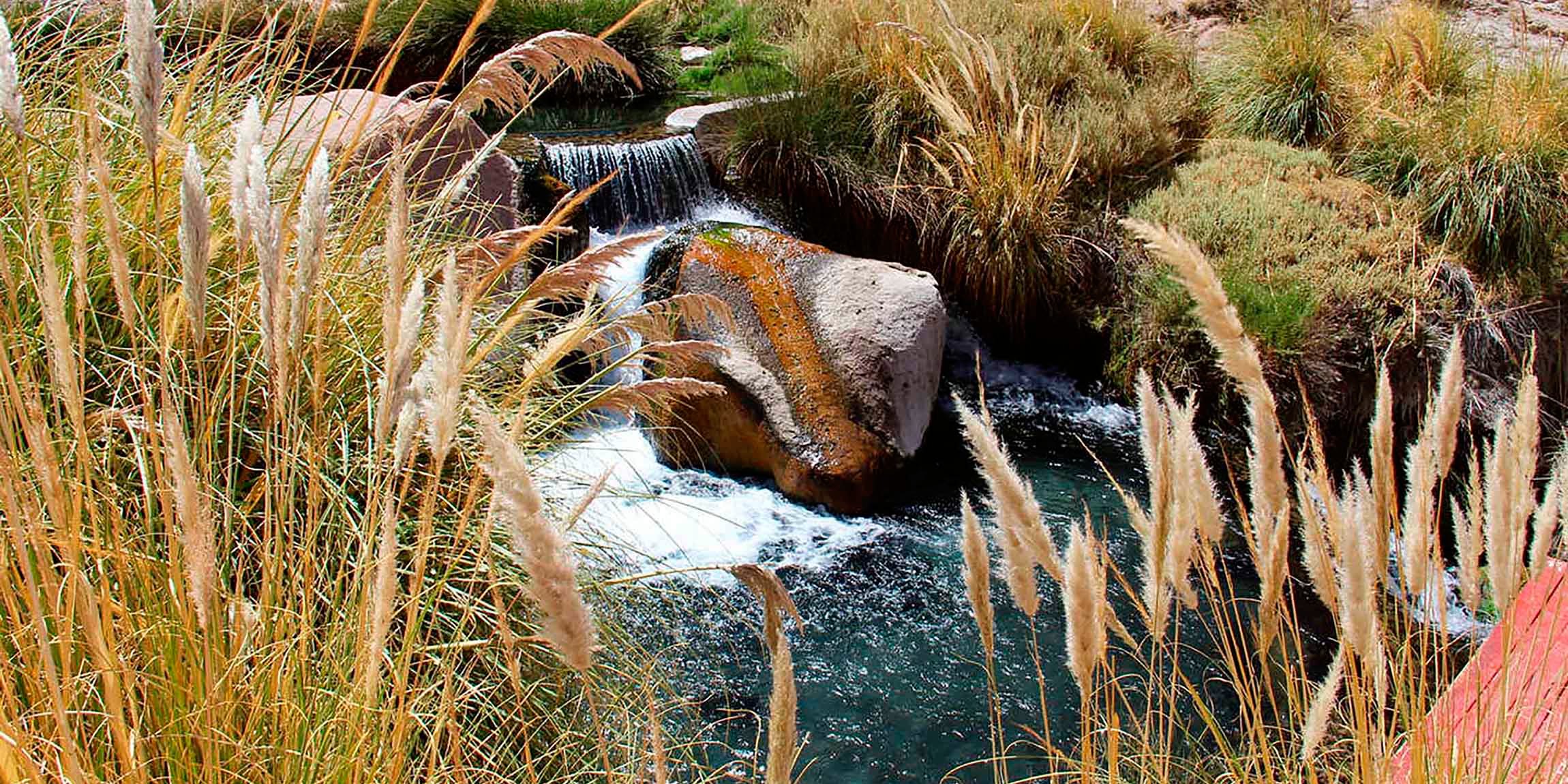 Puritama Hot Springs