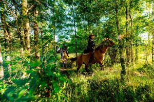 Aventuras en Chile: Cabalgatas, sandboard, ciclismo y más