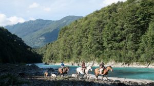 Guide through Los Lagos: Paso El León and Petrohué
