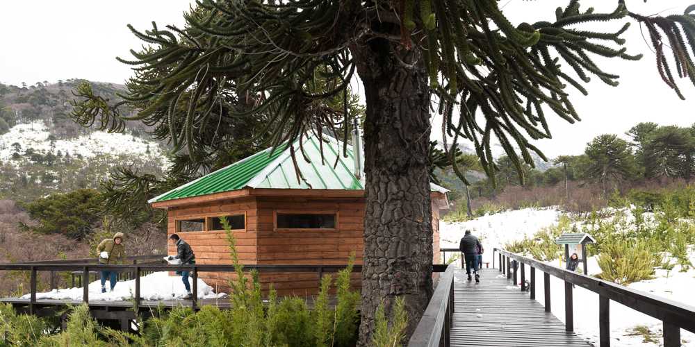 The Lonquimay Volcano and the Malalcahuello Hot Springs