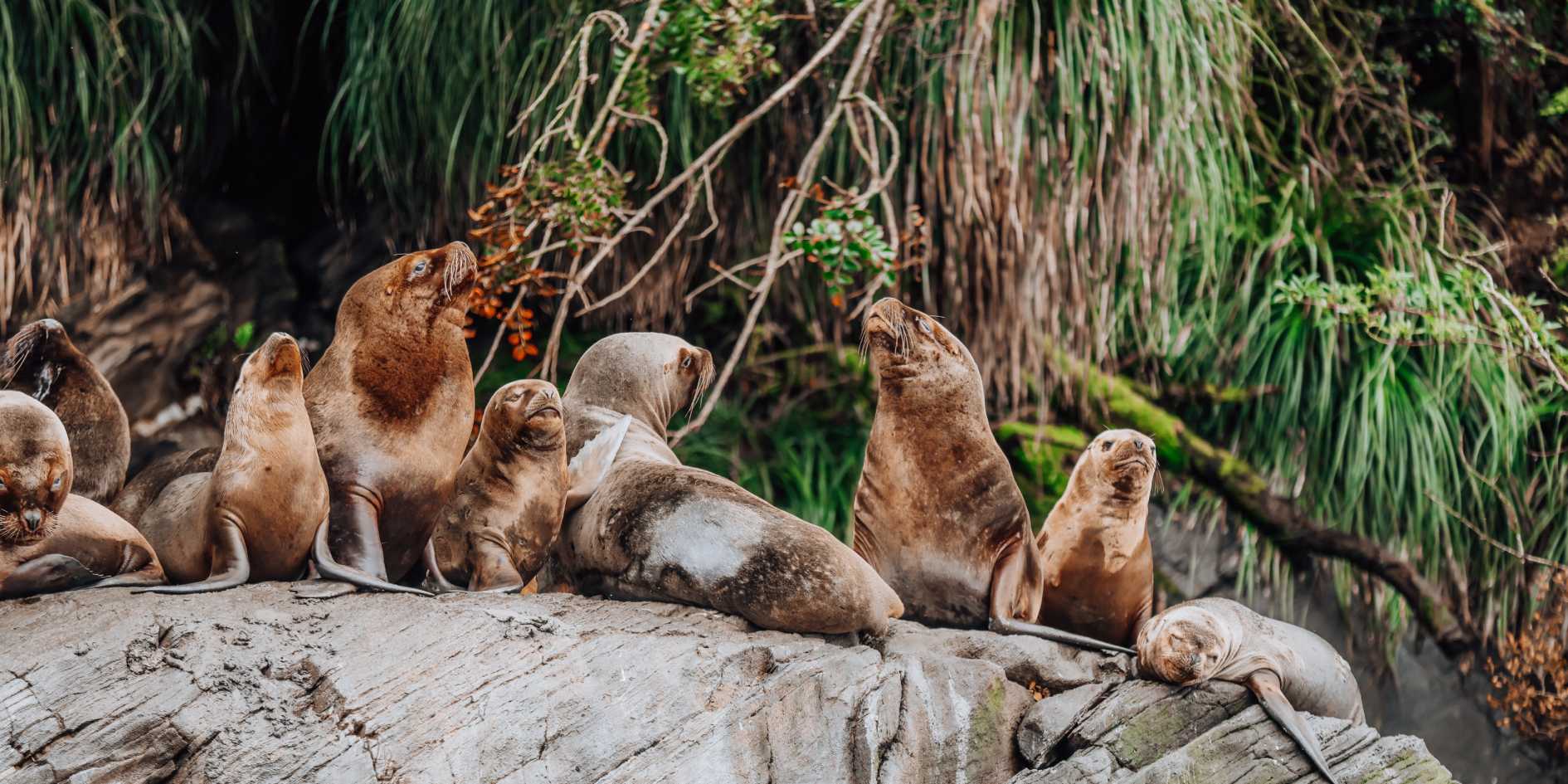 Sailing to Isla Lobera and Río Blanco Waterfall