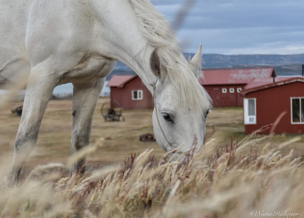 Estancia La Península