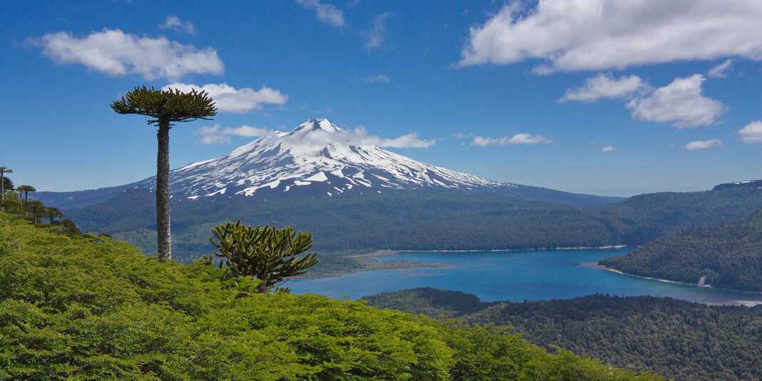 Excursion to Conguillío National Park 