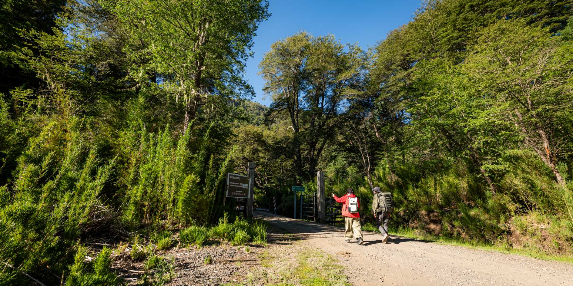 Tolhuaca National Park Trails