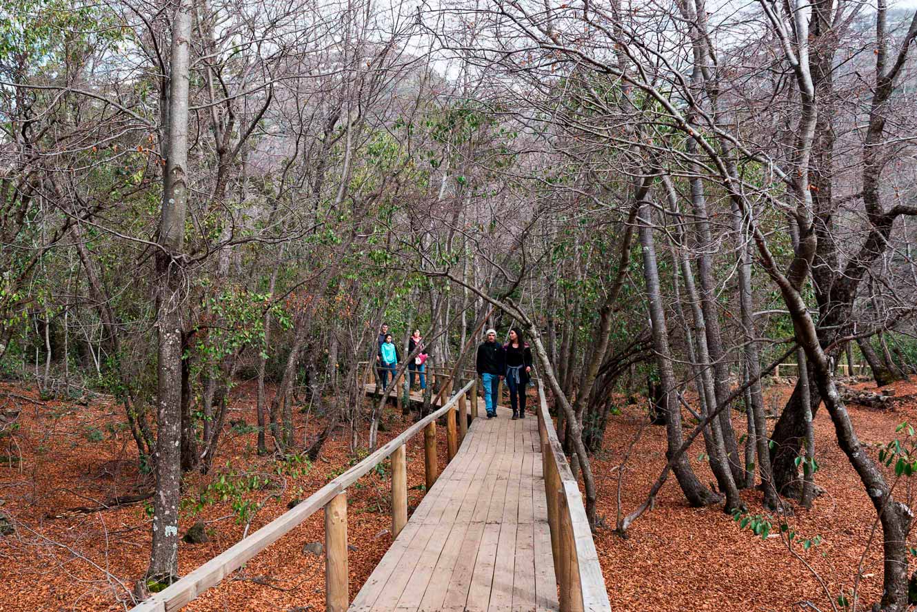 Parque Nacional Radal Siete Tazas