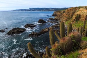 Itinerário de 2 dias em Pichilemu e Punta de Lobos