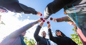 Chiles Weinberge und Täler, die Sie dieses Jahr 2025 unbedingt besuchen müssen