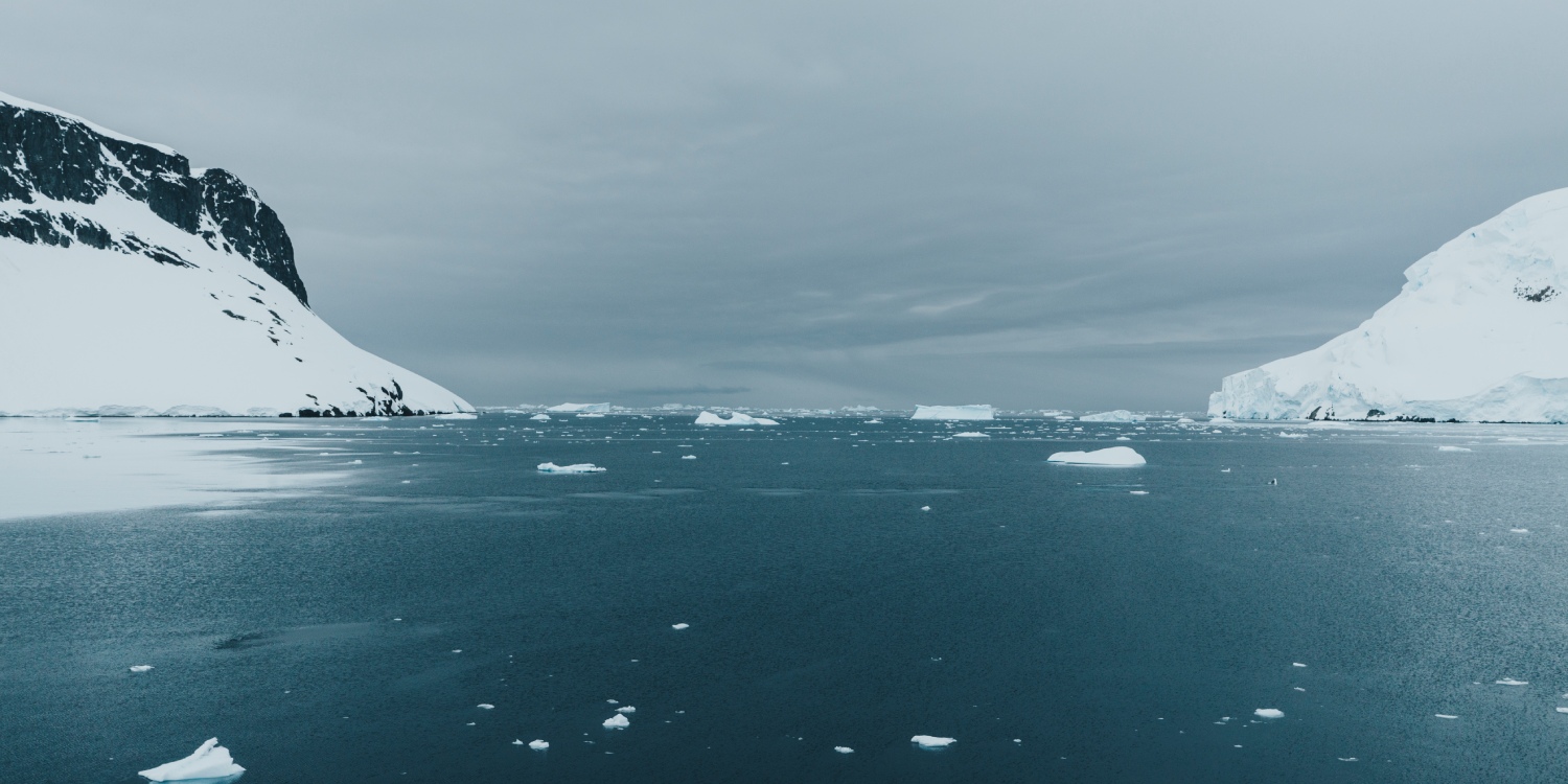 Bases, wildlife, and hikes on King George Island